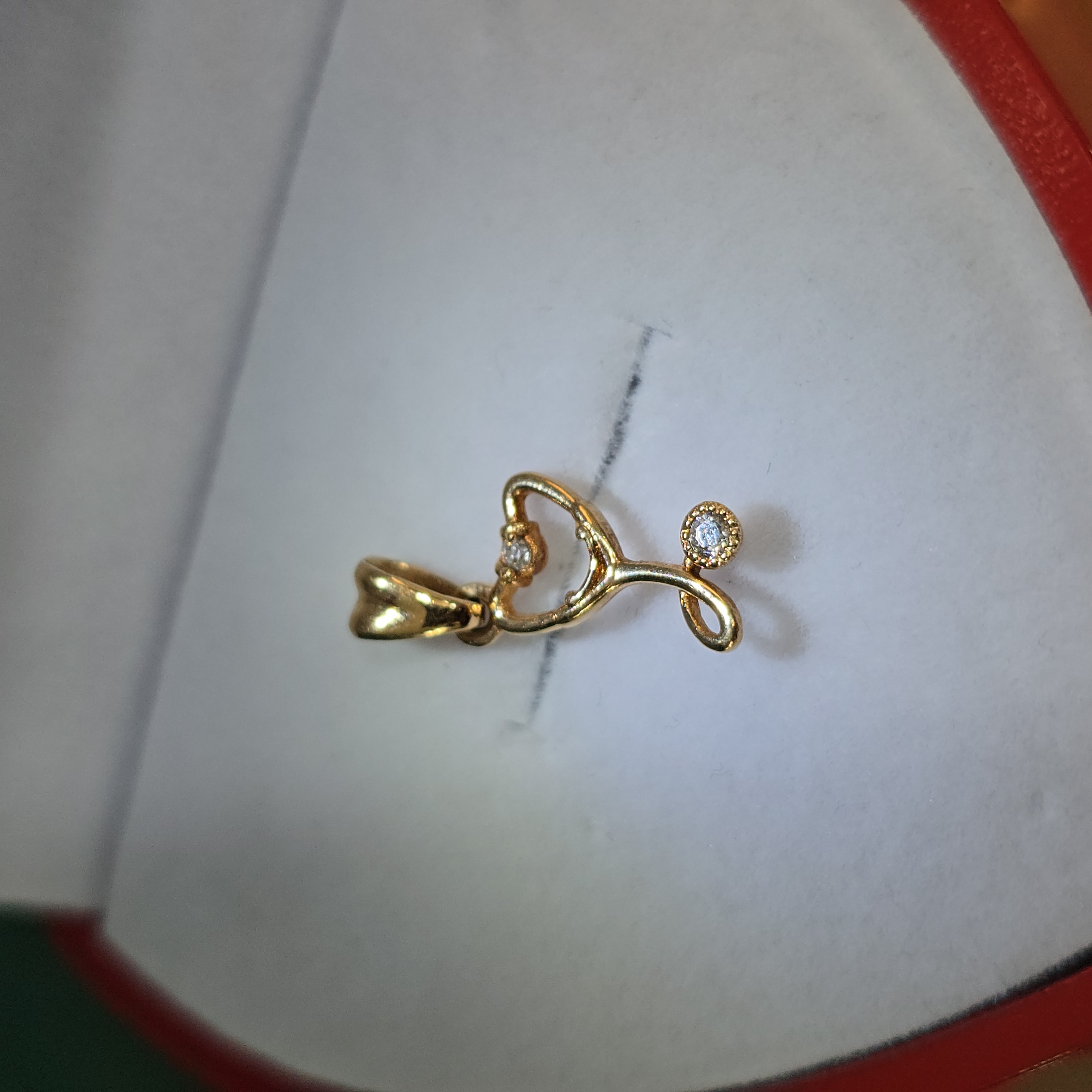 Dije "Circón Noble Touch"