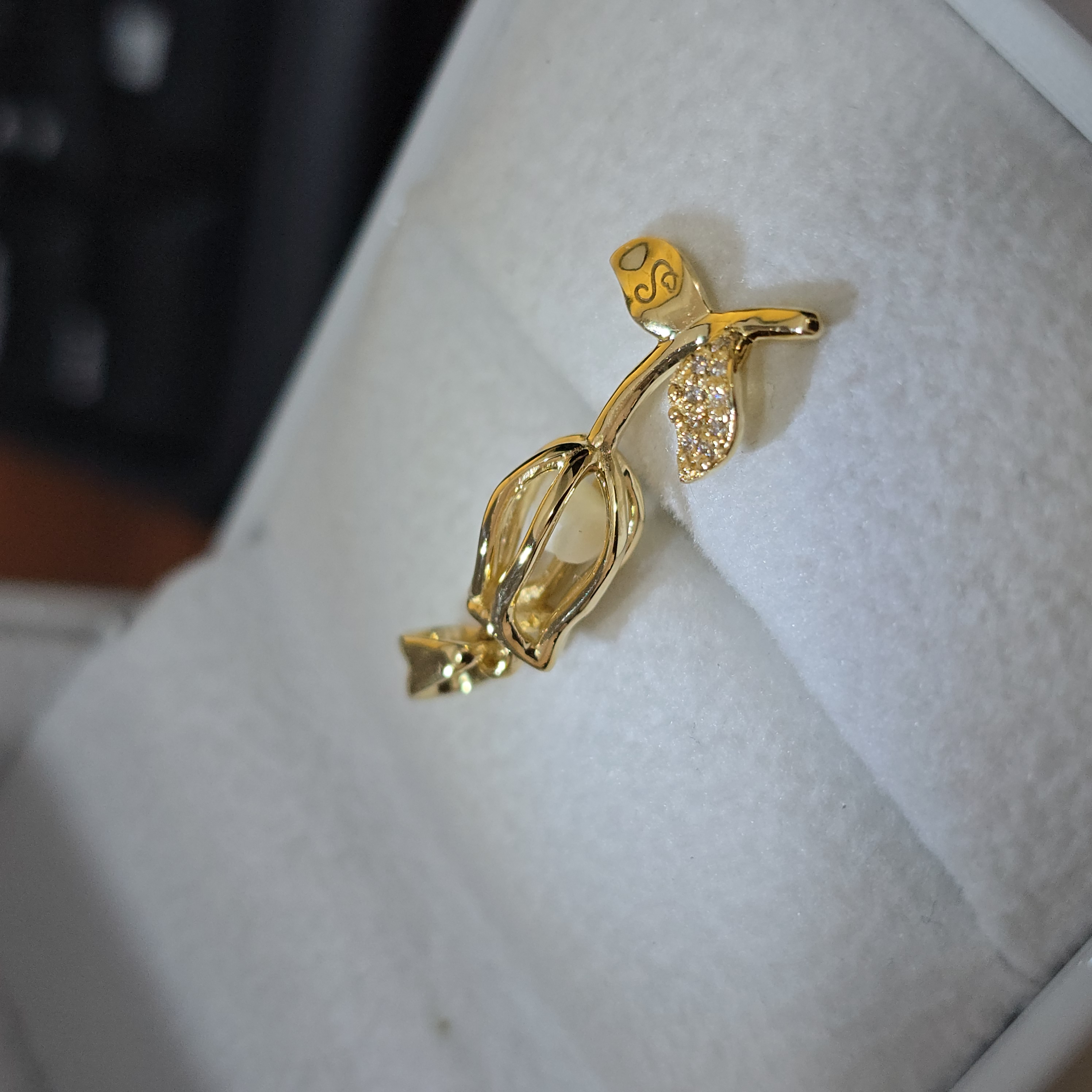 Dije "Mi Recuerdo por Siempre"