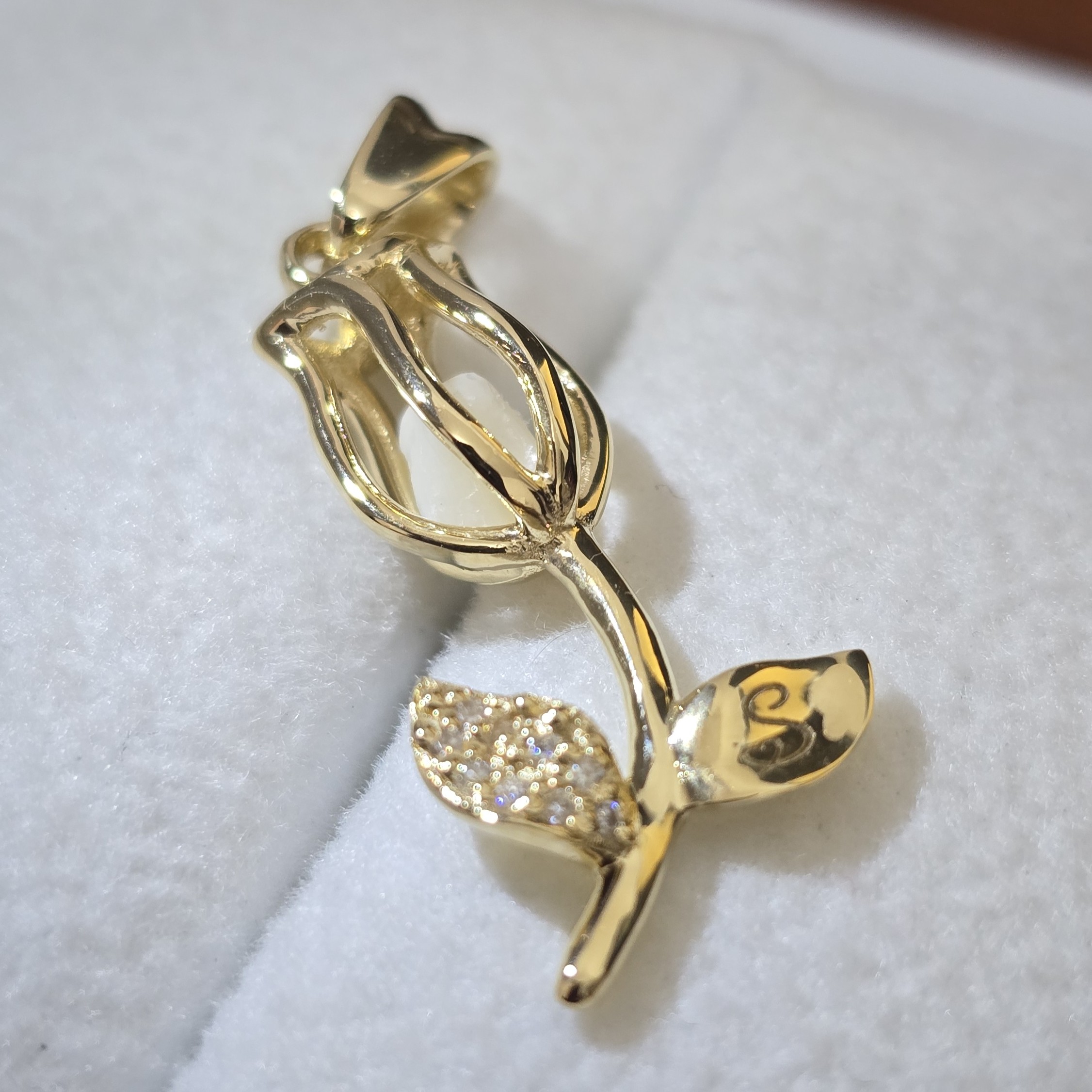 Dije "Mi Recuerdo por Siempre"