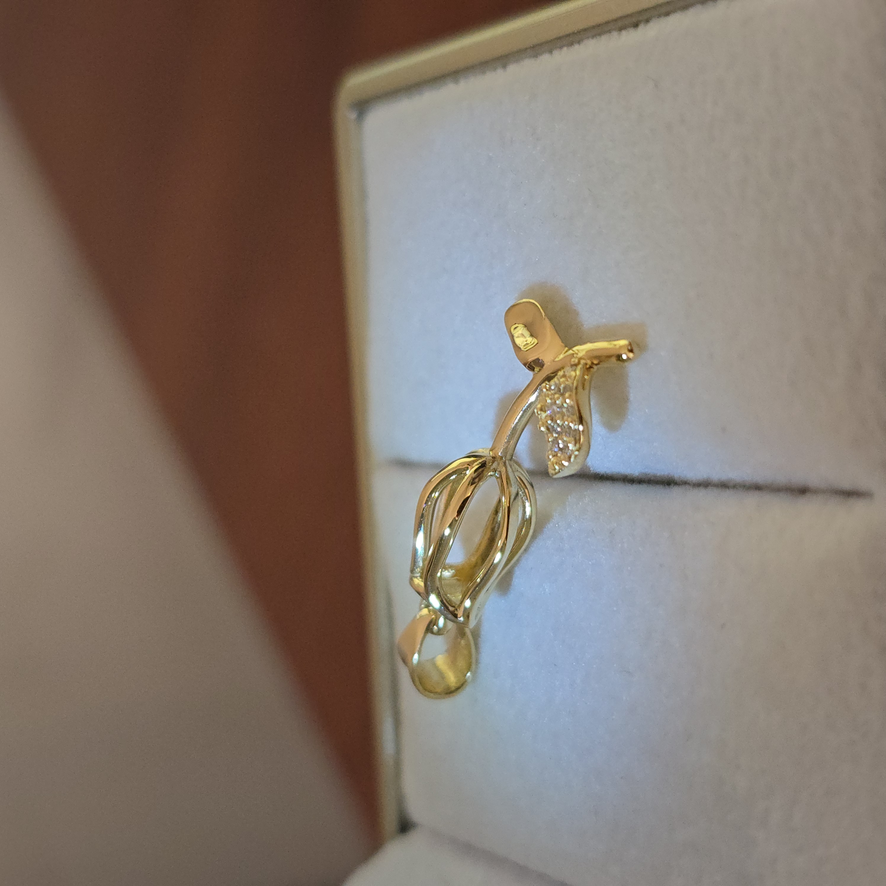 Dije "Recuerdo del Corazón"